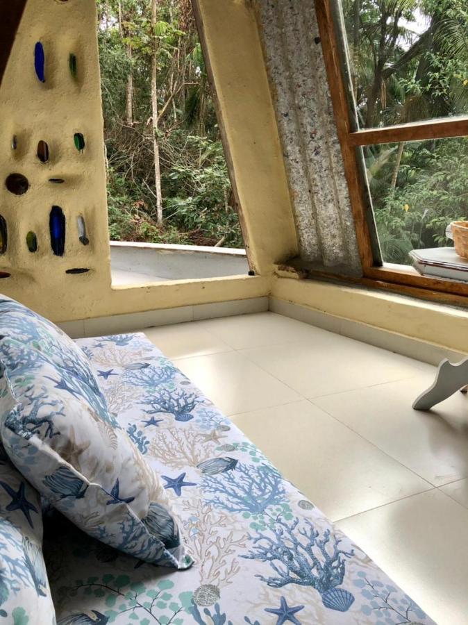 Lodge Bioevoluir